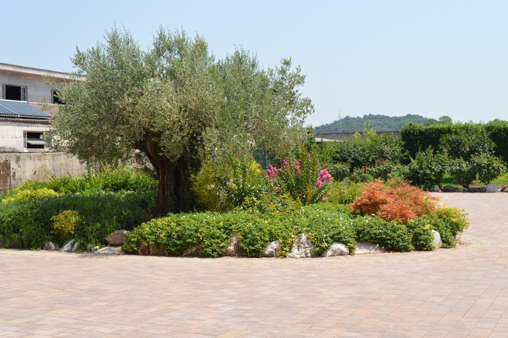 Agriturismo Ca' Del Gal Valeggio sul Mincio Exteriér fotografie