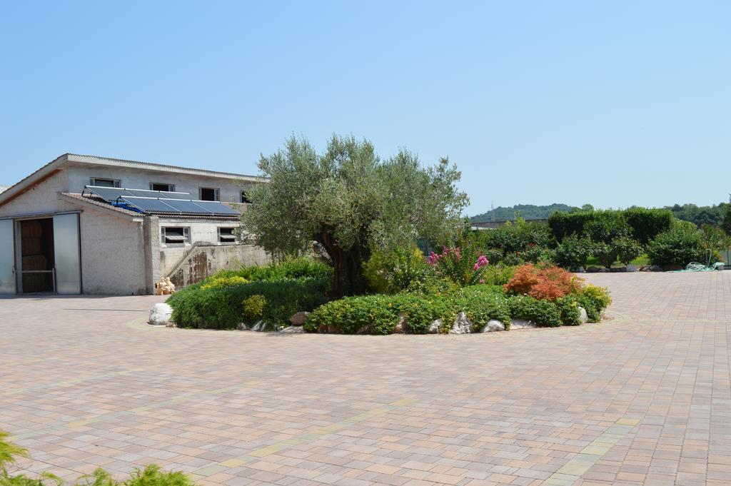 Agriturismo Ca' Del Gal Valeggio sul Mincio Exteriér fotografie