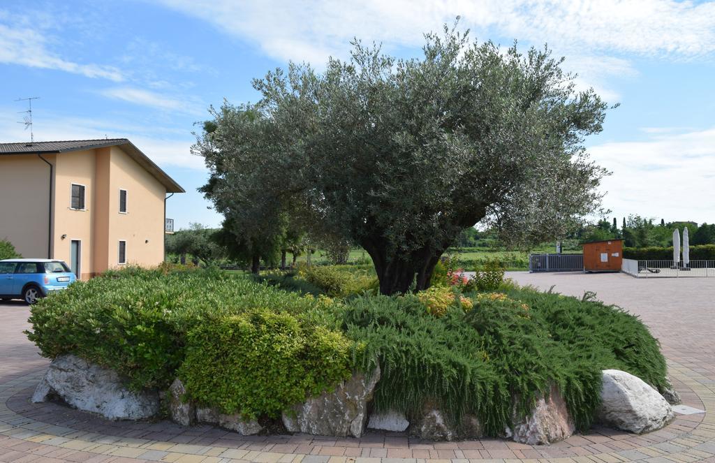 Agriturismo Ca' Del Gal Valeggio sul Mincio Exteriér fotografie