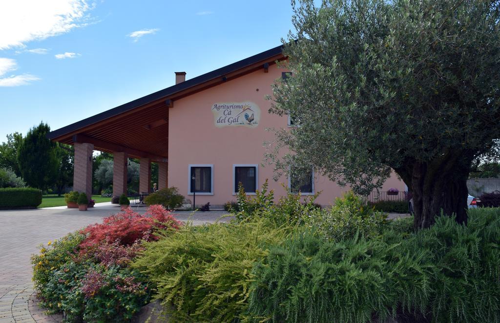 Agriturismo Ca' Del Gal Valeggio sul Mincio Exteriér fotografie