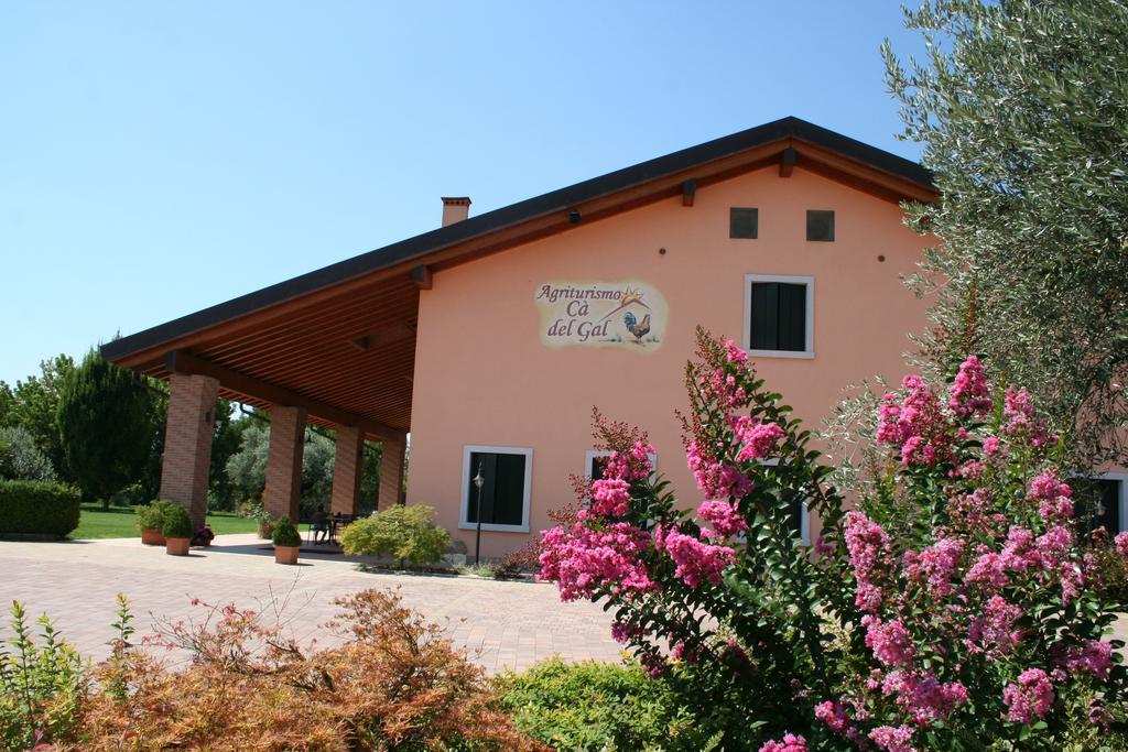 Agriturismo Ca' Del Gal Valeggio sul Mincio Exteriér fotografie